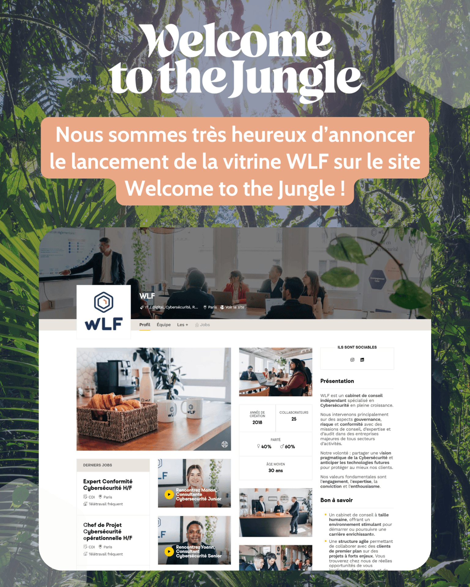 WLF arrive sur Welcome to the Jungle