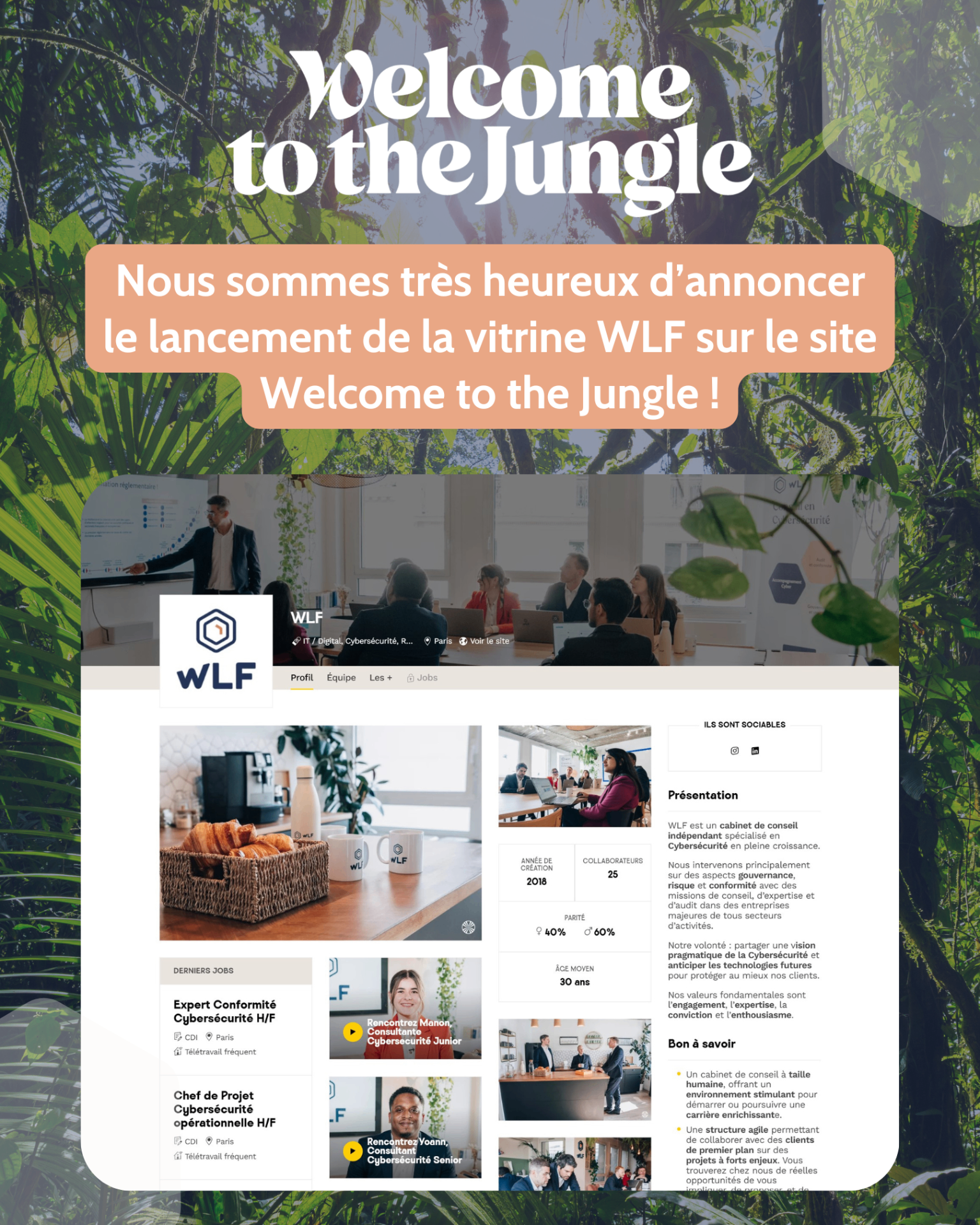WLF arrive sur Welcome to the Jungle