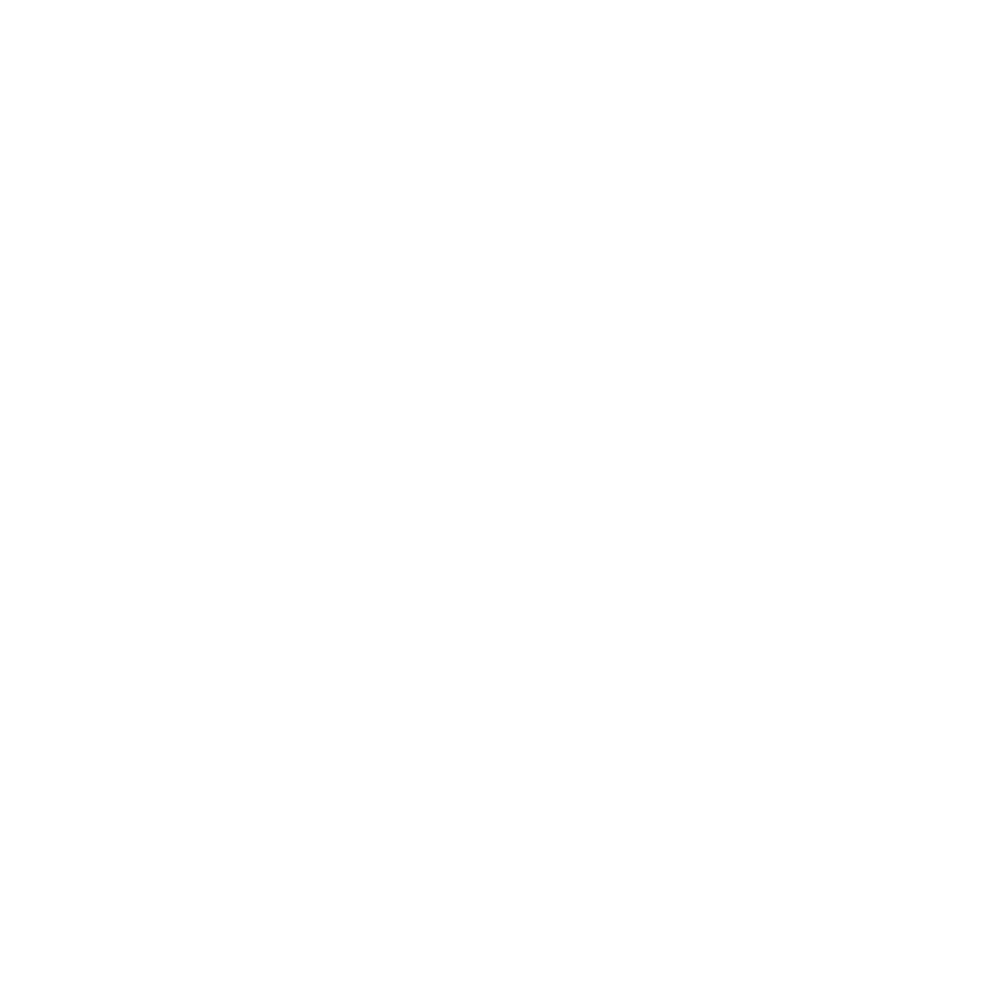 Satec